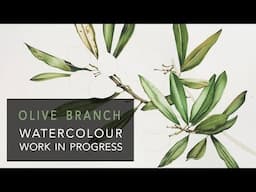 Olive watercolour work in progress pt 2 ✎ CurtisSheeran