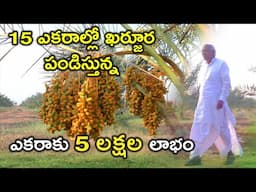 15 ఎకరాల్లో ఖర్జూర పండిస్తున్న ఏటా ఎకరాకు  5 లక్షల | Dates Farming