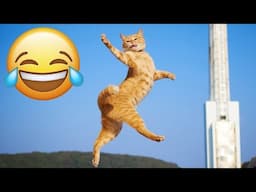 You Laugh You Lose 😍 Funniest Cats and Dogs 2024 😸🐶