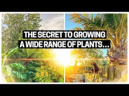 Simple Soil Solutions for Thriving Exotic Plants