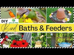 🟡 DIY OUTDOOR BIRD BATHS & FEEDERS | DOLLAR TREE DIY Easy Craft Ideas on a budget for BIRD LOVERS!