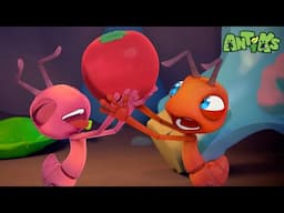 Sneaky Snacking | Antiks 🐜 | Funny Cartoons for Kids