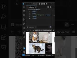 Cats + HTML