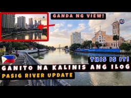 Pasig River Unti-unti nang Bumabalik sa Dating Ganda! Mga Isda Dumadami na ulit! 🇵🇭