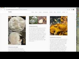 Monday's Mushroom, Episode 23 - An introduction to my online herbarium