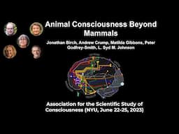 Symposium: Animal Consciousness Beyond Mammals | ASSC26