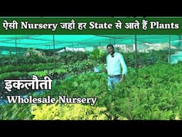 Delhi NCR की इकलौती Wholesale Nursery!Aditi Nursery से जानिए Wholesale रेट पर सस्ते पौधे कैसे खरीदें