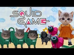 CAT MEMES in SQUID GAME