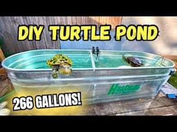 266 GALLON HORSE TROUGH Converted Into A TURTLE POND!!!