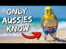 28+ Aussie Slang Words Foreigners DON'T UNDERSTAND!