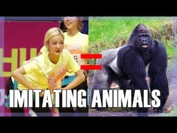 K-POP IDOLS IMITATING ANIMALS