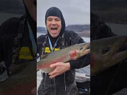 Giant Trout Caught Okanagan Lake #fishing #trout #okanagan #britishcolumbia #lake