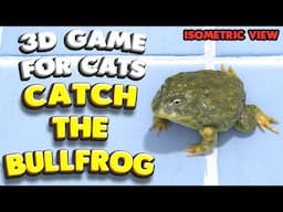 3D game for cats | Catch the BULLFROG (isometric view) | 4K, 60 fps, stereo sound