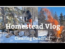 Homestead Vlog (Clearing Deadfall, Bonfire and Feeding Animals)