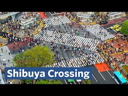 I Visited the Busiest Crossing in the World