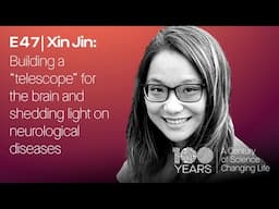 Xin Jin: Building a 'telescope' for the brain