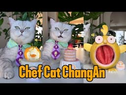 Cat-Chef Makes Beautiful And Fragrant Food|Cat Cooking Food|Cute And Funny Cat