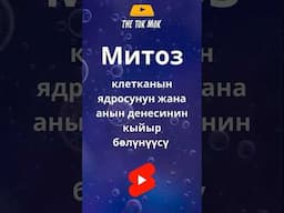 Митоз. Митоздун фазалары. Митоз деген эмне? #кыргызча #thetokmok #митоз #shorts