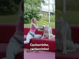 Cachorrinho, cachorrinho  !