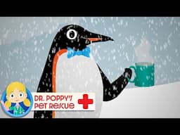 Chilly The Penguin 🐧 | Doctor Poppy - Animals For Kids | Cartoon Animals