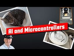 Why Microcontrollers are a good AI companion