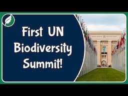 The First United Nations Summit on Biodiversity