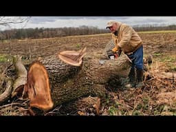 Cutting a Big Tree with a Little Saw