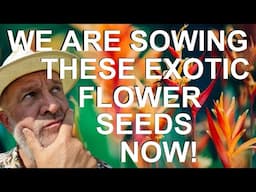 Tropical Gardens UK:  These are the Exotic Seeds we are Growing, Sowing and Germinating this Year