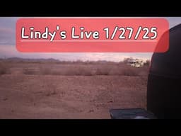 LINDY'S LIVE  What happened everywhere. Things I didn't tell you