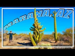 Don't Miss These 10 Things To Do in Marana, AZ - TravelingMel AZ Itinerary