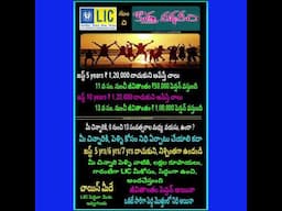 LIC NEW POLICY 💍👈