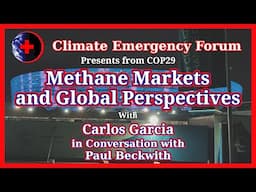 Methane Markets and Global Perspectives