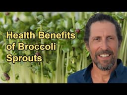 The Health Benefits of Broccoli Sprouts, Including Their Impact on Insulin Levels