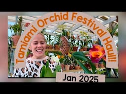 Best orchid Festival Plant Haul!