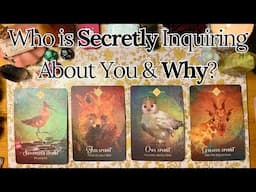 Who is secretly inquiring about you? 🕵️‍♀️Pick a Card📞