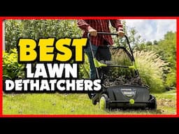 ✅Top 5 Best Lawn Dethatchers in 2025