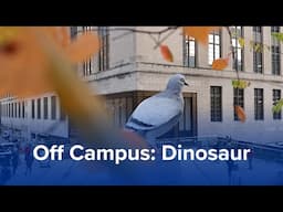 Visit “Dinosaur,” the Biggest Pigeon in New York