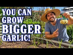 What You Need To Know About Growing Garlic | Part 2: Planting