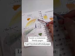 How to make complex project painting easier #everydaywatercolor #studypages #mixingcolors #art