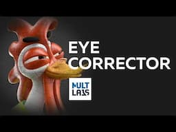 Eye corrector