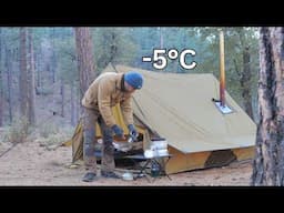 -5°C Hot Tent Camping with My Dog . Korean BBQ . Wood Stove Relaxing ASMR