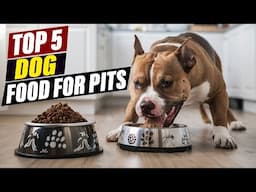 Dog Food for Senior Pitbulls: Supporting Older Dogs