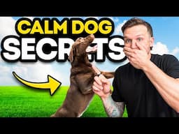 How to calm down any dog with these EASY dog training tips!