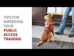 Tips for improving your public access training