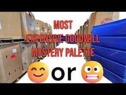 Most Expensive Goodwill Mystery Palette| Was it Worth It