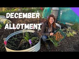 Top 5 Allotment Jobs For December - Allotment Gardening For Beginners UK