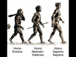 Science Snippets: Different Hominids at Same Location 1.5 Million Years Ago