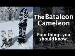 Bataleon Cameleon Review: Four Things You Should Know