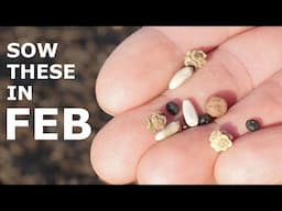 15 Seeds You MUST Grow in February