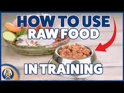 How To Use Raw Food As A Reinforcer When Training (Treat Rewards)